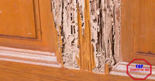 Wooden structures showing signs of termite activity.