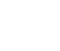 Top Termite Co. Inc.